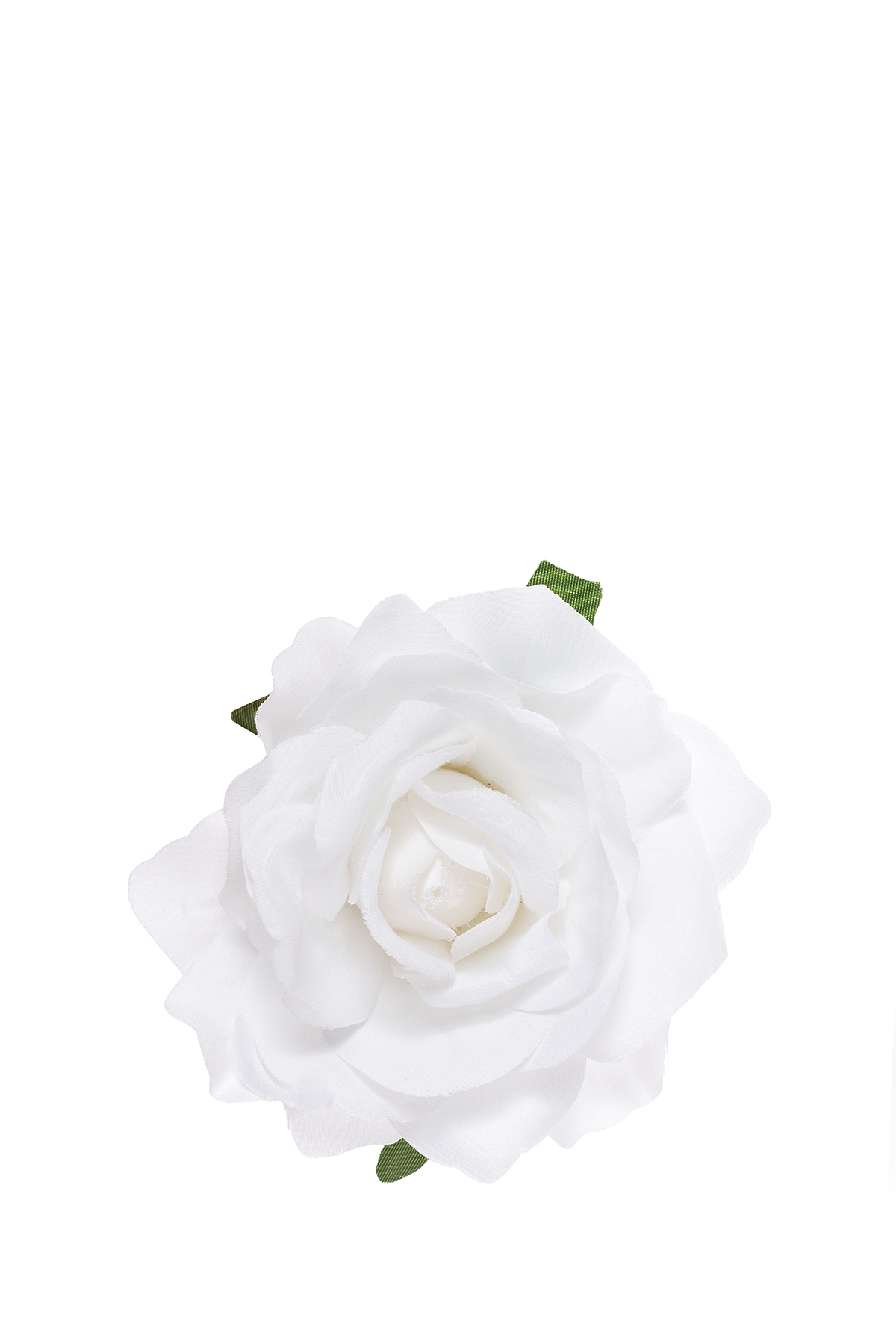 Flor Branca